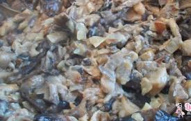 Моховик: классификация, распространение, рецепты Как готовить маховики грибы правильно