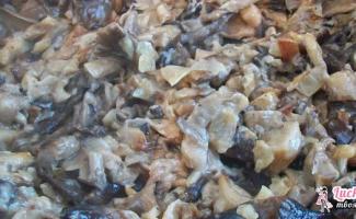Моховик: классификация, распространение, рецепты Как готовить маховики грибы правильно